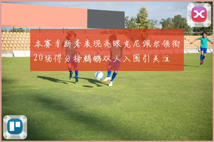 本赛季新秀表现亮眼克尼佩尔领衔20场得分榜鹈鹕双人入围引关注