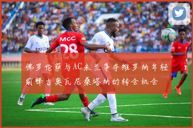 佛罗伦萨与AC米兰争夺维罗纳年轻前锋吉奥瓦尼桑塔纳的转会机会
