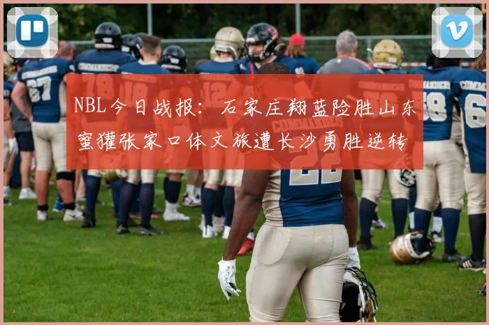 NBL今日战报：石家庄翔蓝险胜山东蜜獾张家口体文旅遭长沙勇胜逆转