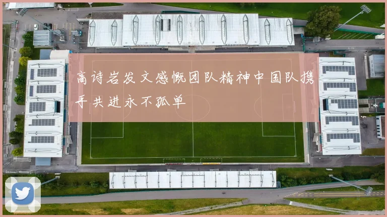 高诗岩发文感慨团队精神中国队携手共进永不孤单