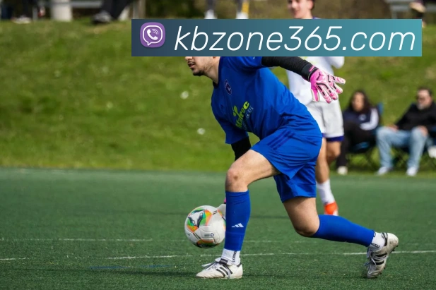 KB官网入口服务体系